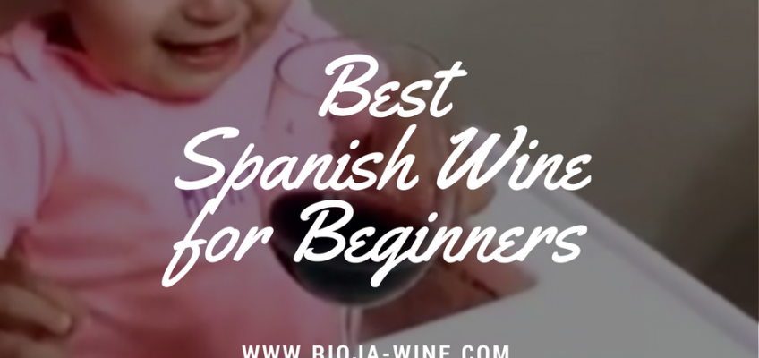 Best Spanish Wine for Beginners