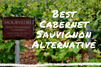 Best Cabernet Sauvignon Alternative Under $20