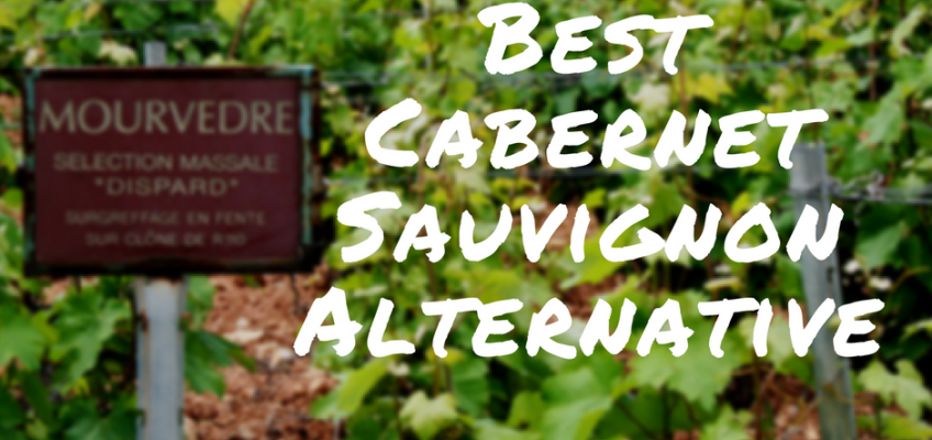 Best Cabernet Sauvignon Alternative Under $20